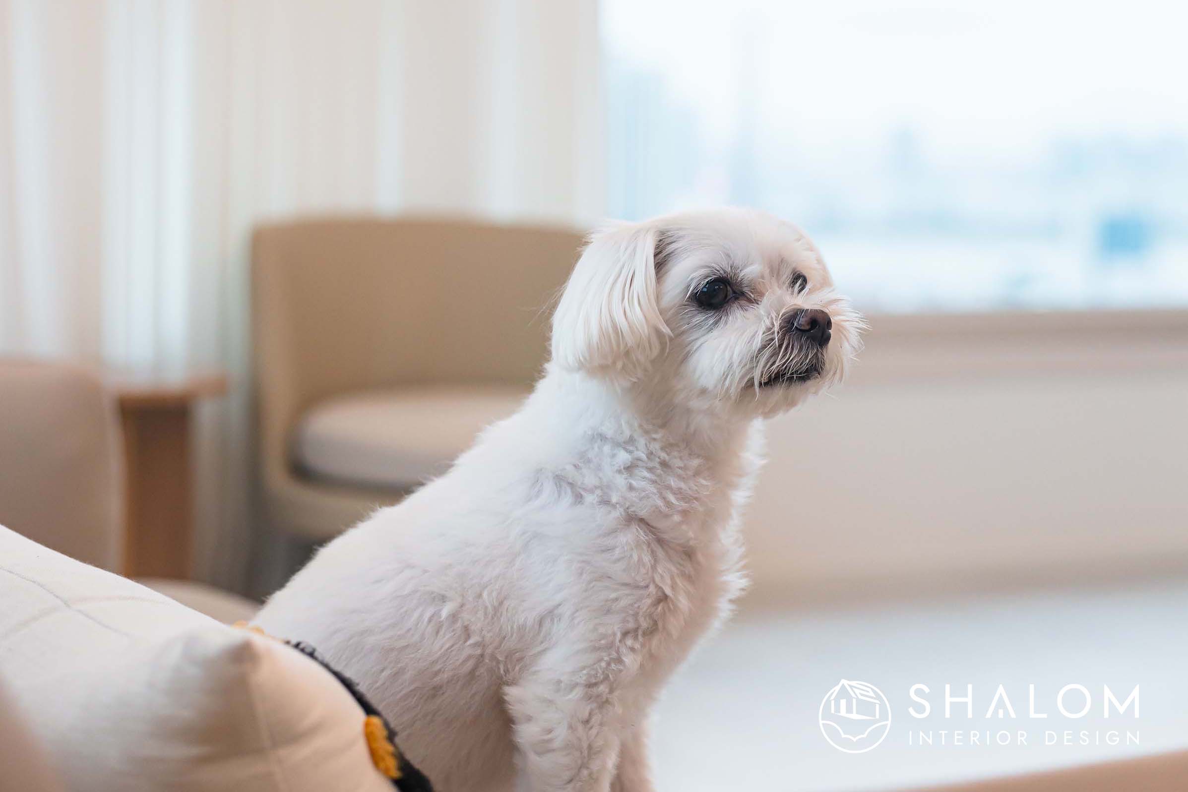 KCC웰츠타워: 댕댕이 관절을 지키는 5t 장판 & 상부장 없는 미니멀 키친